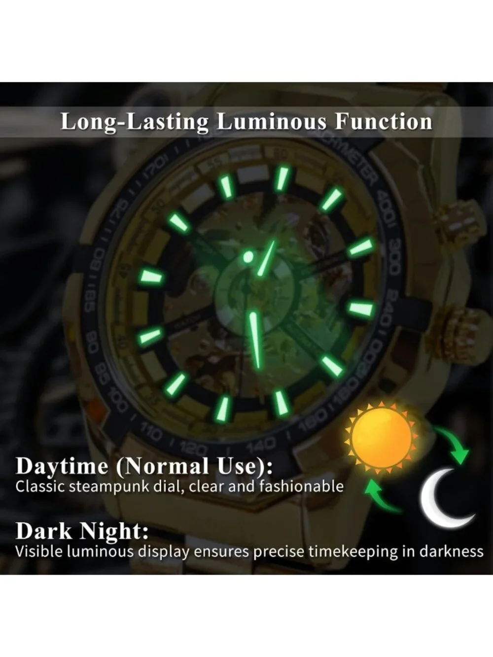 Luxury Mechanical Skeleton Watch, Waterproof Stainless Steel, Self-Winding